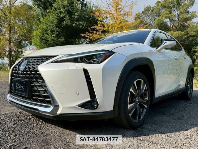 Lexus UX 2019-02 7794337-8