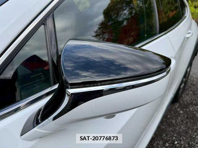 Lexus UX 2018-12 7794340-8