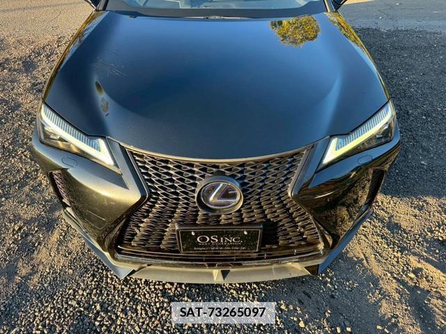 Lexus UX 2019-09 7794343-14