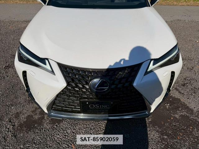 Lexus UX 2021-01 7794352-16