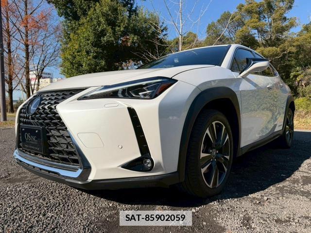 Lexus UX 2021-01 7794352-6
