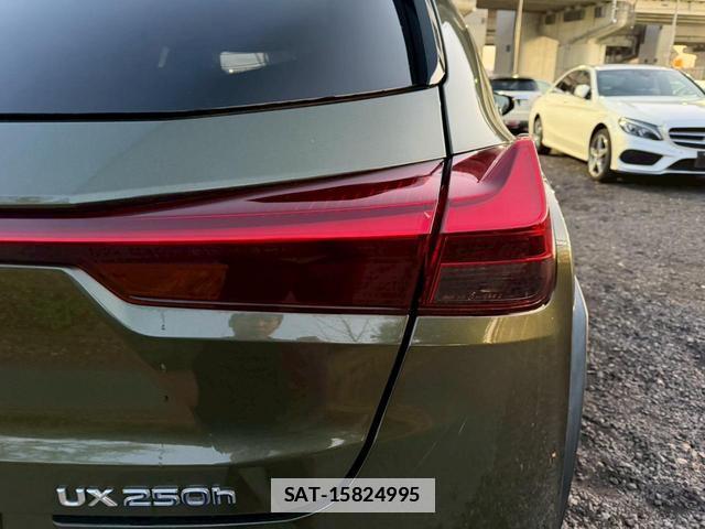 Lexus UX 2020-03 7794354-1