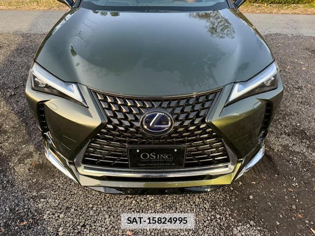 Lexus UX 2020-03 7794354-10