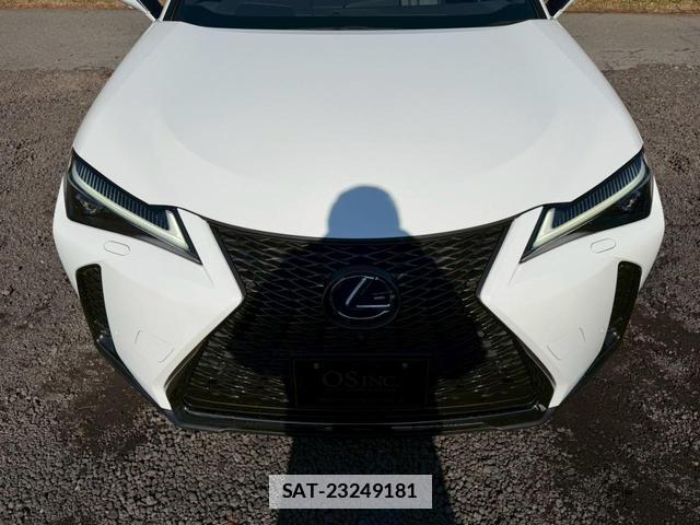 Lexus UX 2019-02 7794360-13