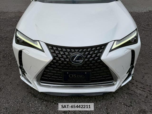 Lexus UX 2019-04 7794361-15