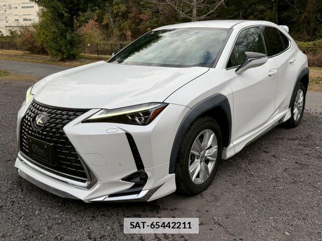 Lexus UX 2019-04 7794361-16