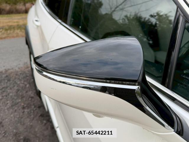 Lexus UX 2019-04 7794361-5