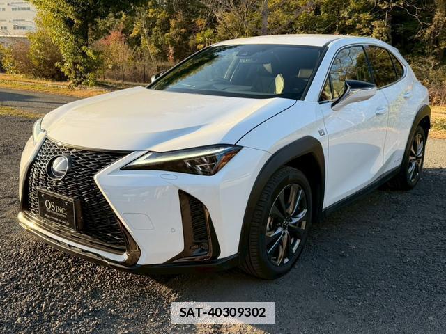 Lexus UX 2019-03 7794369-0