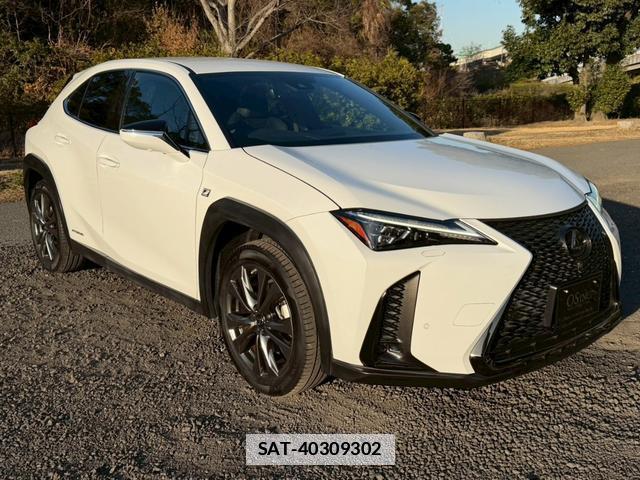 Lexus UX 2019-03 7794369-13
