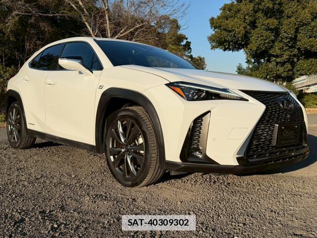 Lexus UX 2019-03 7794369-14