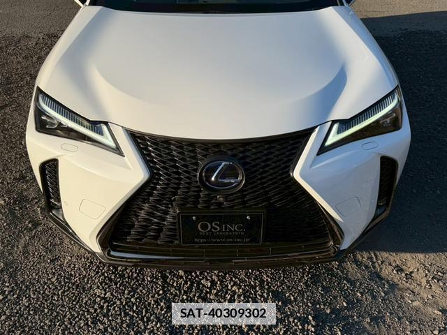 Lexus UX 2019-03 7794369-4