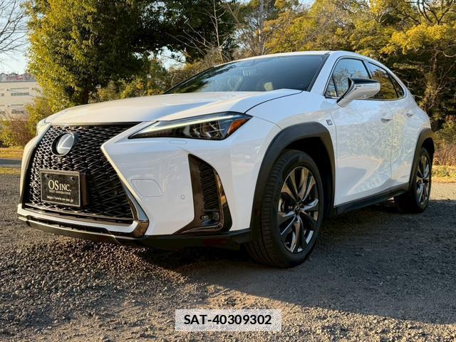 Lexus UX 2019-03 7794369-6