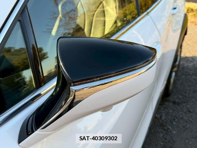 Lexus UX 2019-03 7794369-8