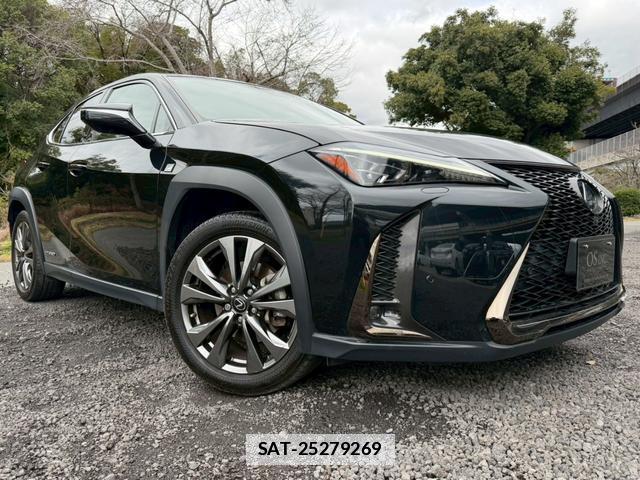 Lexus UX 2021-01 7794374-16