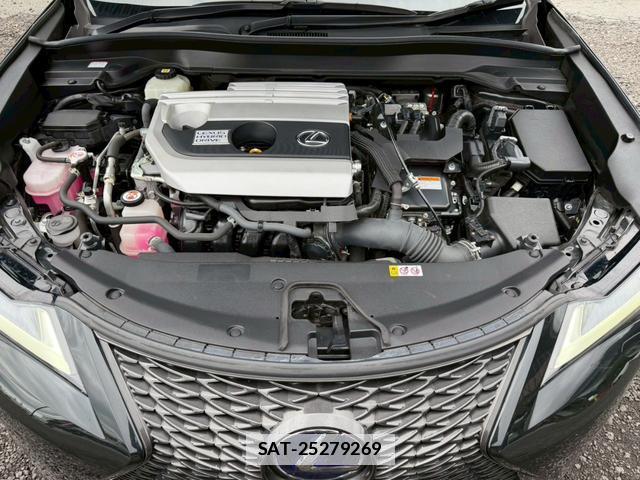 Lexus UX 2021-01 7794374-5