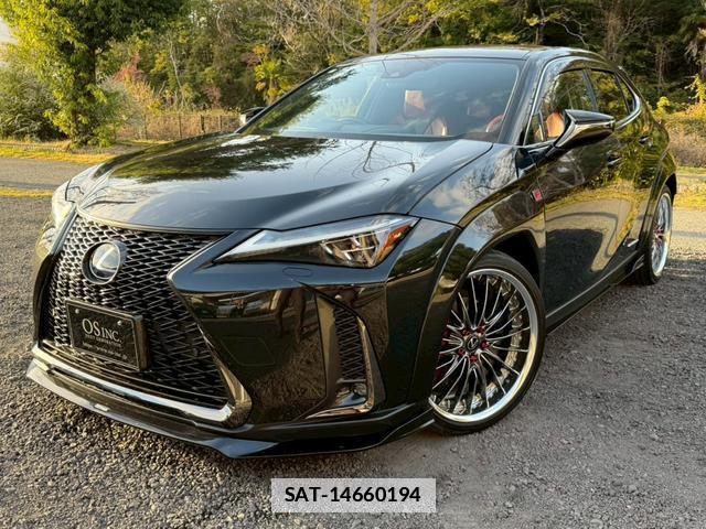 Lexus UX 2020-01 7794378-0