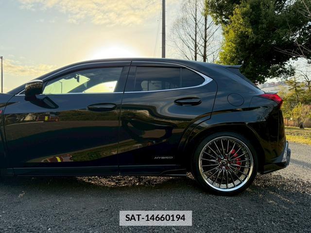 Lexus UX 2020-01 7794378-10