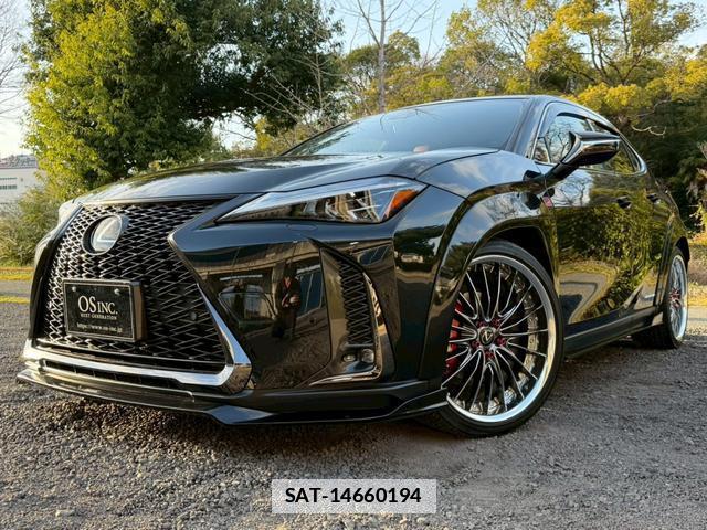 Lexus UX 2020-01 7794378-6