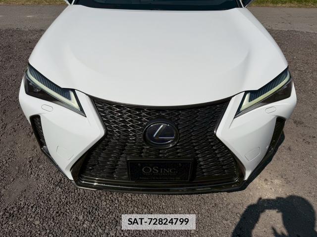 Lexus UX 2019-01 7794390-10