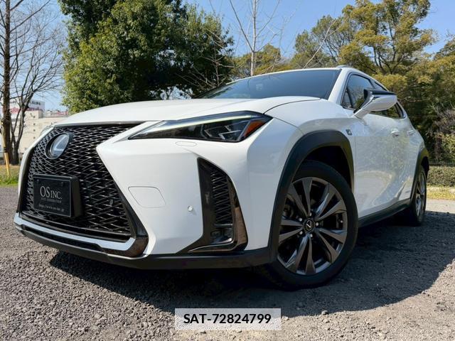 Lexus UX 2019-01 7794390-11