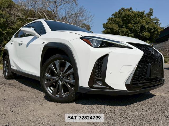 Lexus UX 2019-01 7794390-12