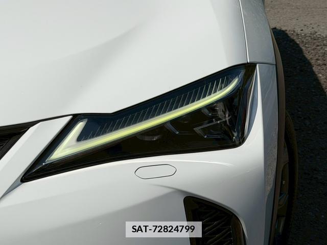 Lexus UX 2019-01 7794390-3