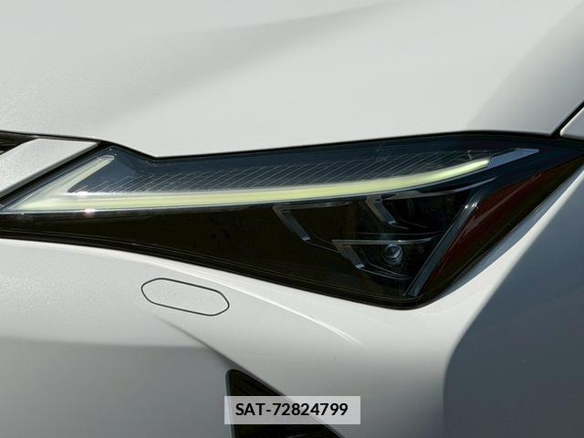 Lexus UX 2019-01 7794390-4