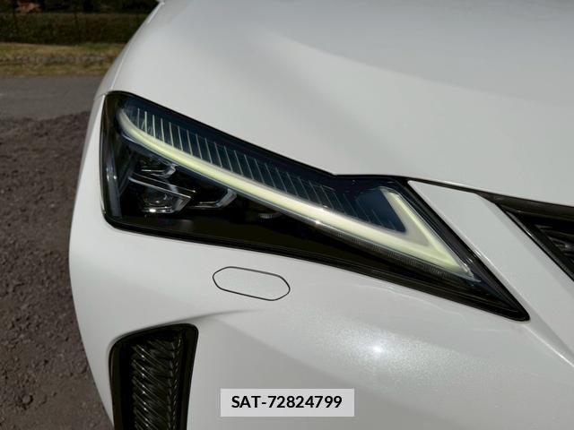 Lexus UX 2019-01 7794390-9