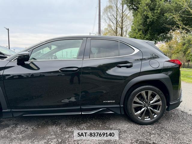 Lexus UX 2019-03 7794404-10