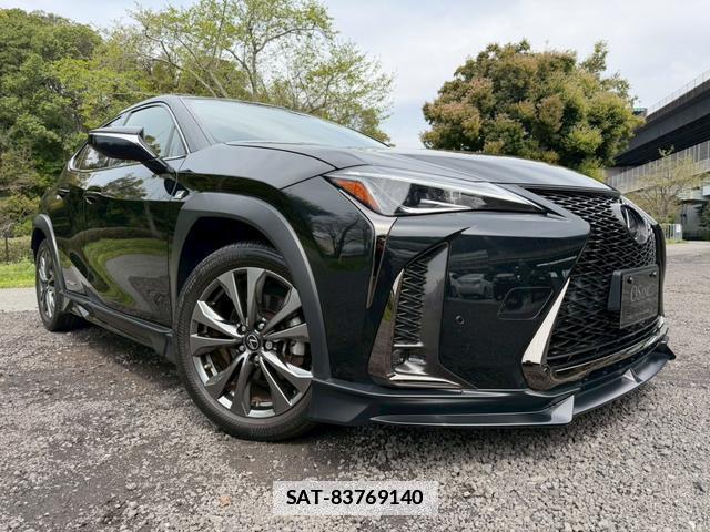 Lexus UX 2019-03 7794404-14