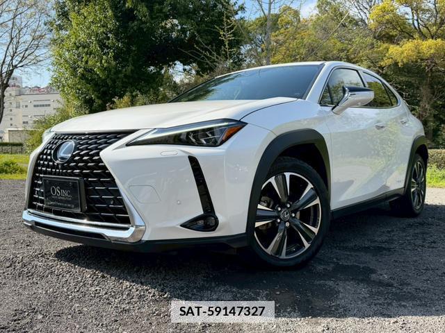 Lexus UX 2019-06 7794406-6