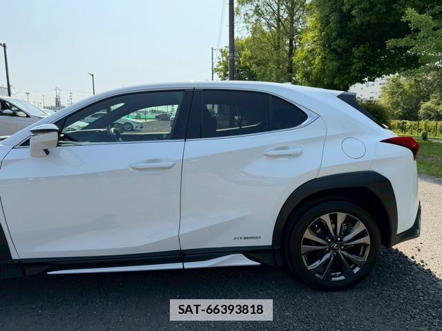 Lexus UX 2019-05 7794430-10