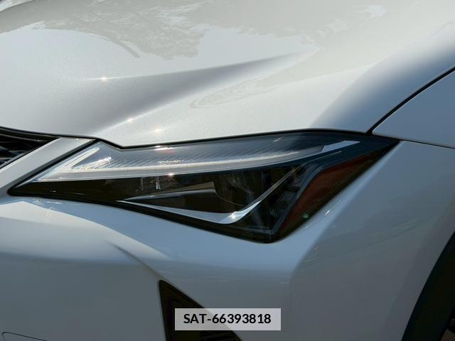 Lexus UX 2019-05 7794430-4