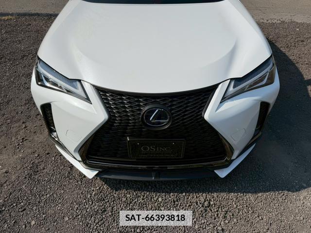 Lexus UX 2019-05 7794430-5