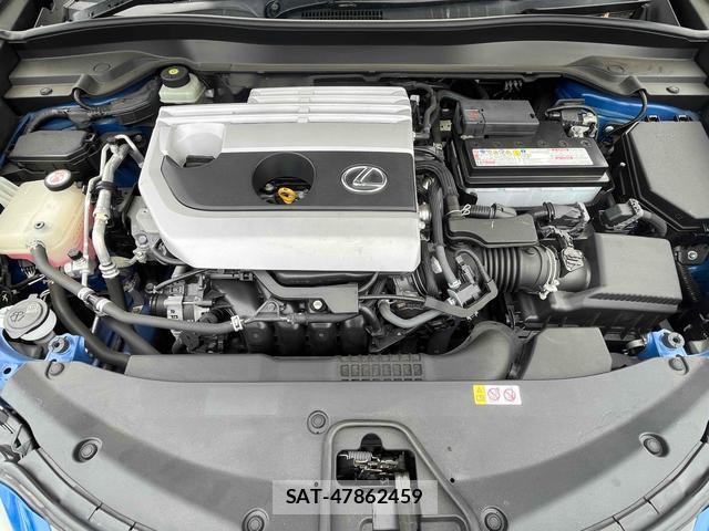 Lexus UX 2018-11 7794599-12
