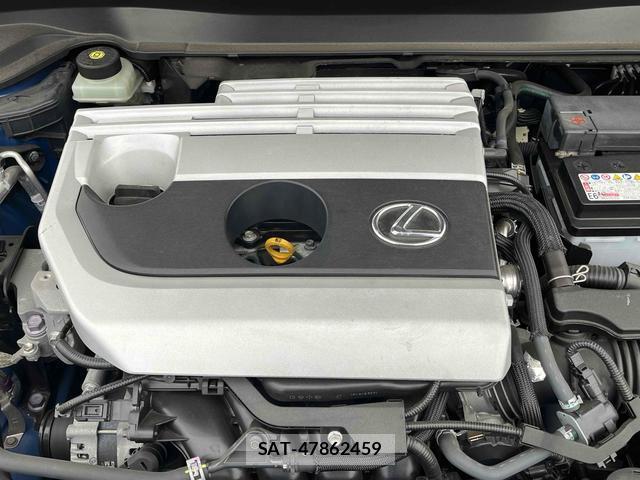 Lexus UX 2018-11 7794599-13