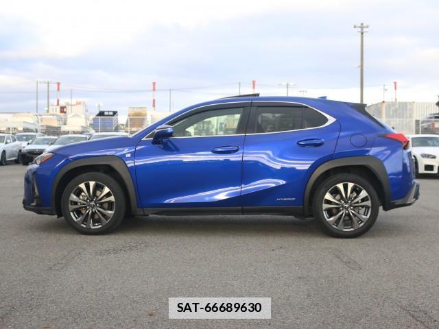 Lexus UX 2021-10 7796259-10