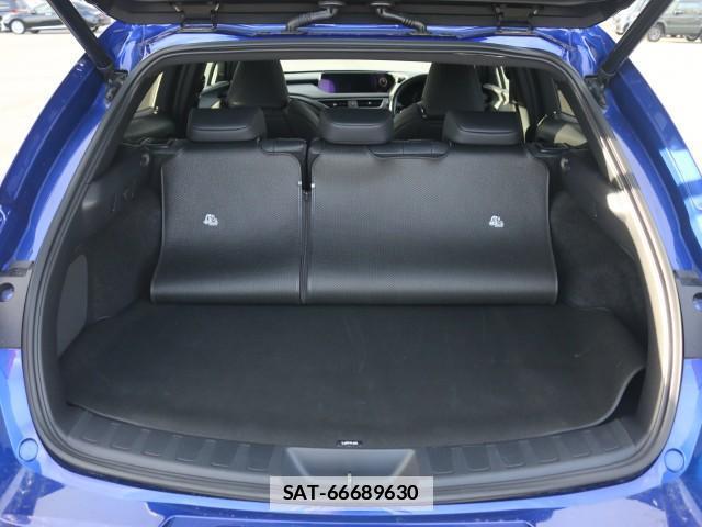 Lexus UX 2021-10 7796259-18