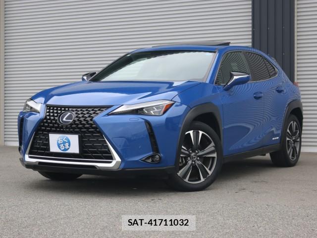 Lexus UX 2018-11 7796267-12