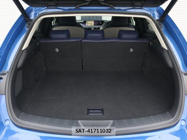 Lexus UX 2018-11 7796267-18