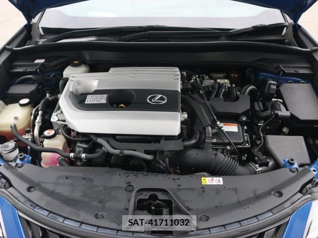 Lexus UX 2018-11 7796267-7
