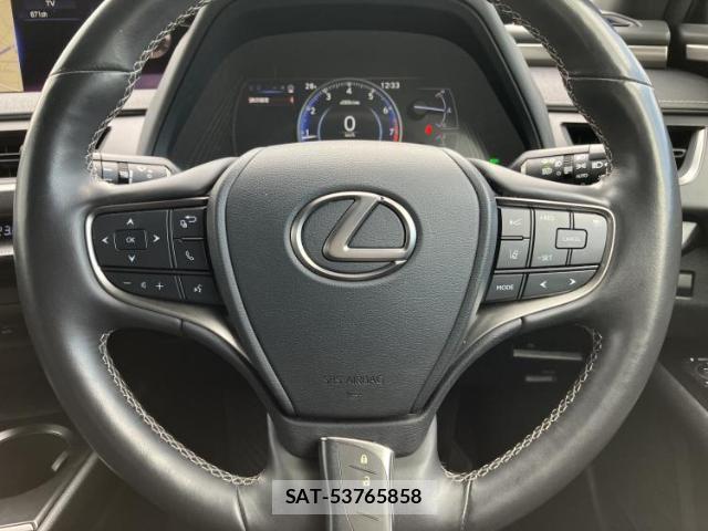 Lexus UX 2018-11 7796904-14