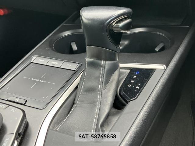 Lexus UX 2018-11 7796904-17