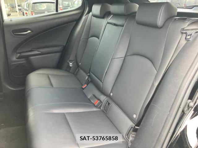 Lexus UX 2018-11 7796904-6