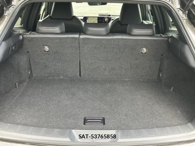 Lexus UX 2018-11 7796904-7