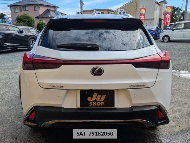 Lexus UX 2019-08 7798712-9