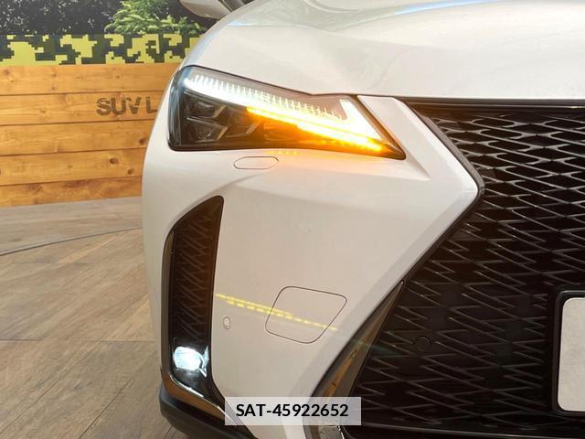 Lexus UX 2019-05 7801299-11