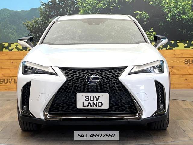 Lexus UX 2019-05 7801299-13