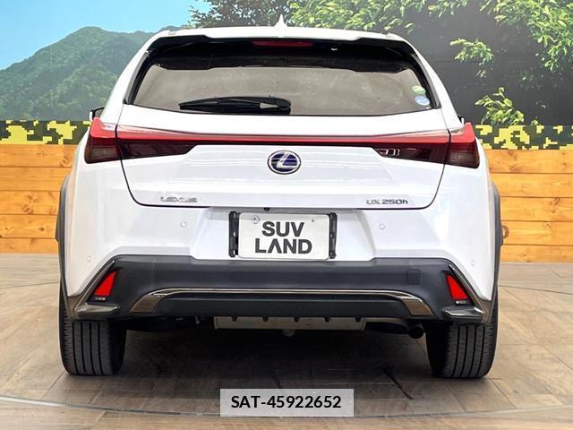 Lexus UX 2019-05 7801299-14