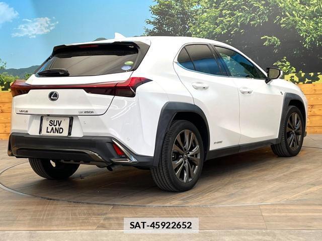 Lexus UX 2019-05 7801299-16
